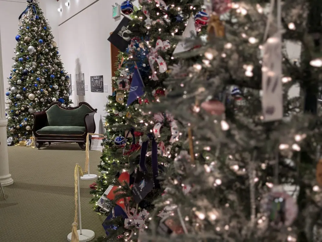 Several Christmas trees