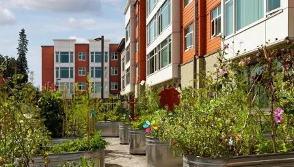 Large apartment buildings to the right and potted plants in the foreground.