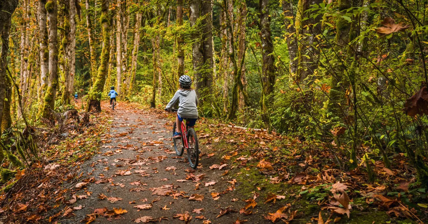 Kids biking on a fall leaf-covered trail