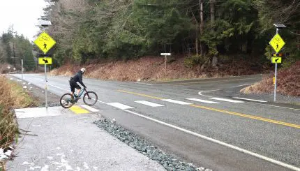 A bicyclist pauses before crossing at a marked crosswalk
