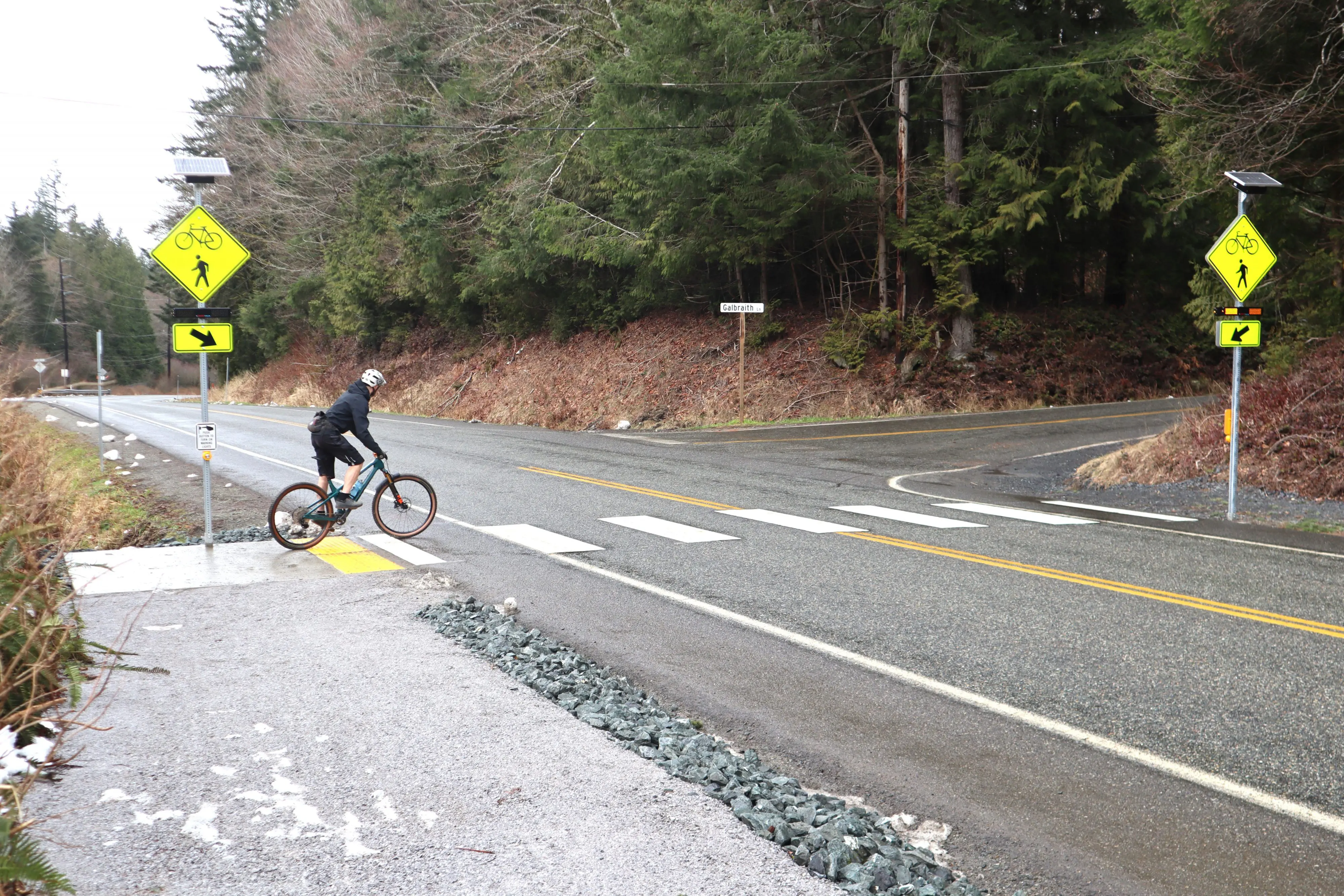 A bicyclist pauses before crossing at a marked crosswalk
