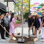 People planting a tree