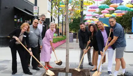 People planting a tree