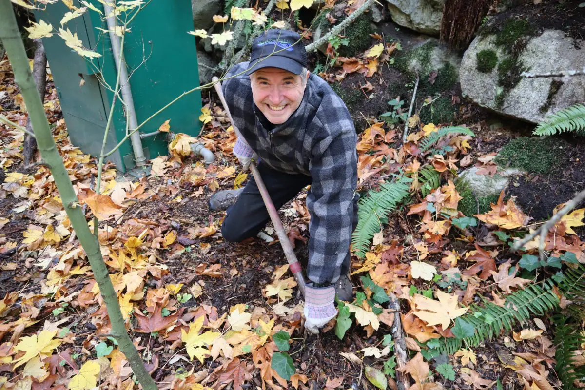 Man smiling as he clears ground to plant a tree