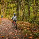 Several bike riders on a wooded trail at fall