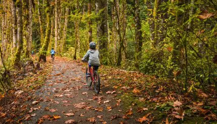Several bike riders on a wooded trail at fall