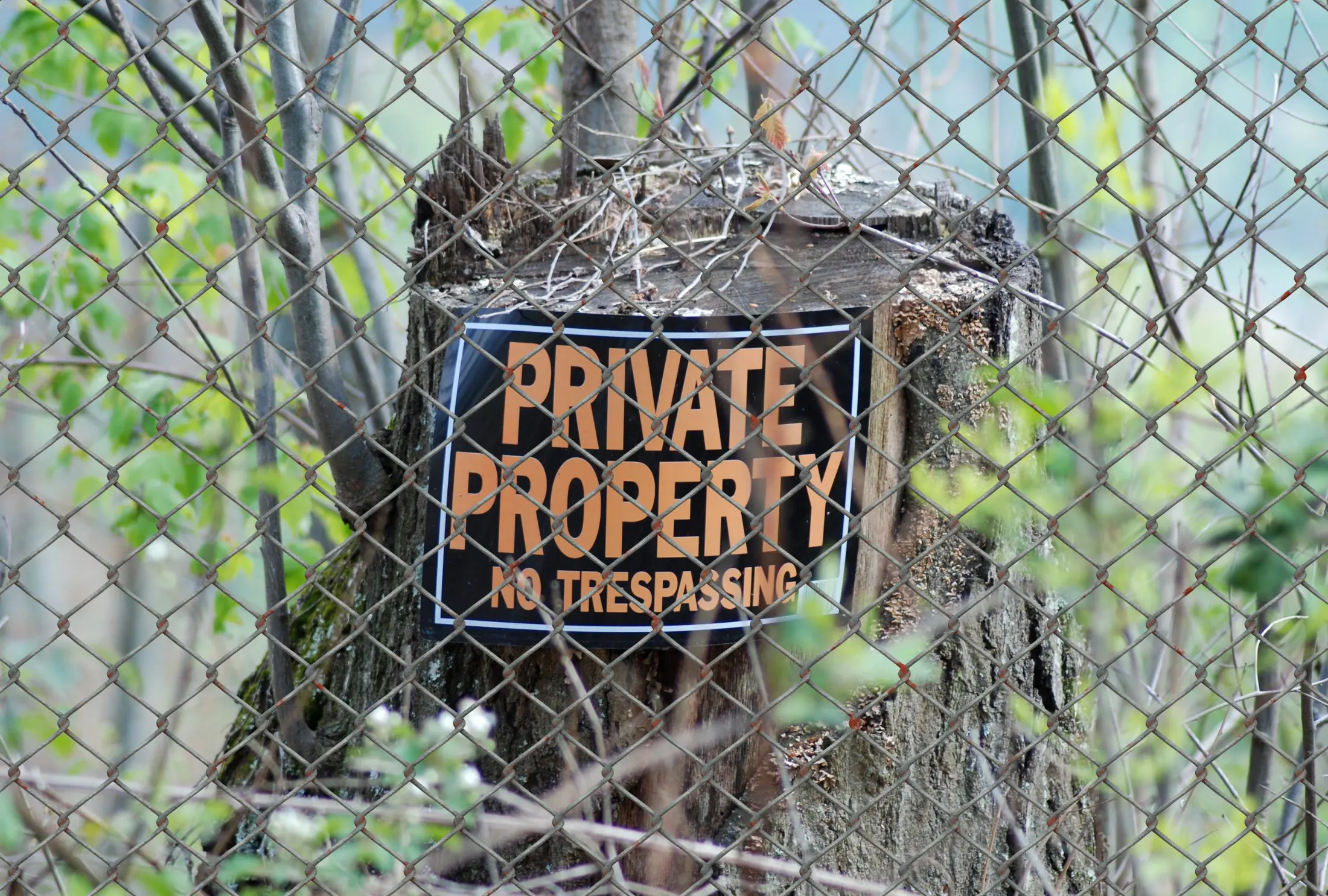 "private property no trespassing" sign on tree stump behind chain link fence