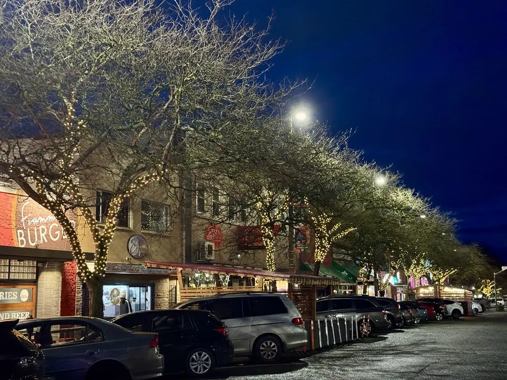 Large trees wrapped in lights line a City street.