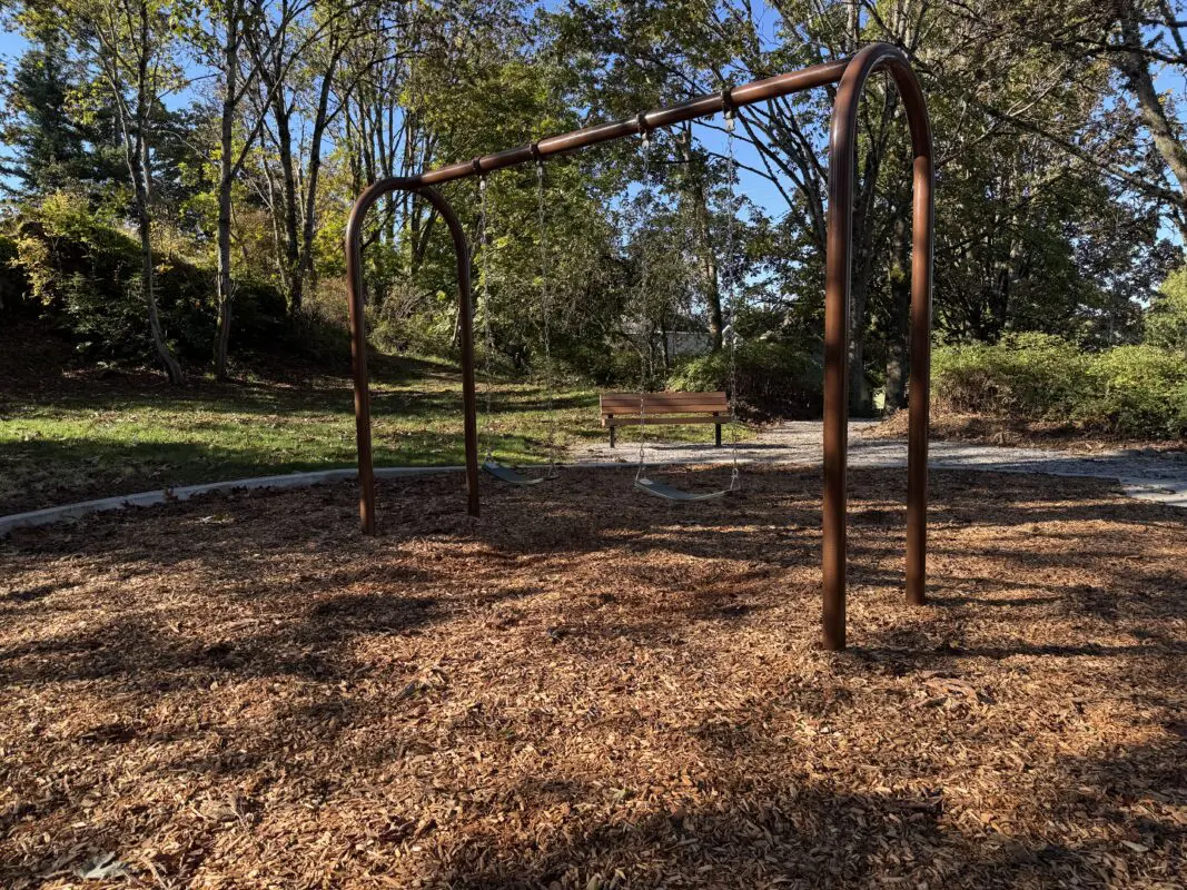 Playground swings