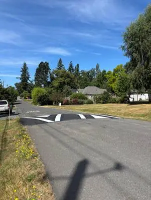 A residential street with new speed humps