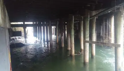 Whatcom Creek flowing under the State-Ellis Street bridge