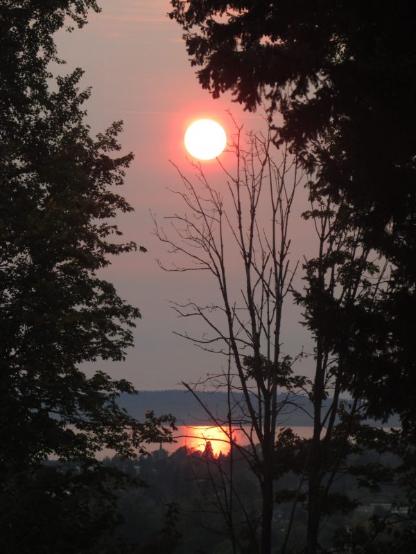 Smoky sunset. Pink sun in sky reflecting off of lake surrounded by trees.