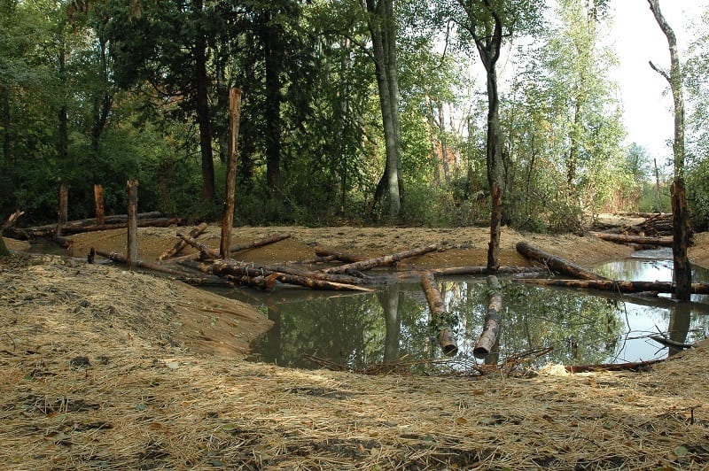 2006 Cemetery Creek North Pond After Construction