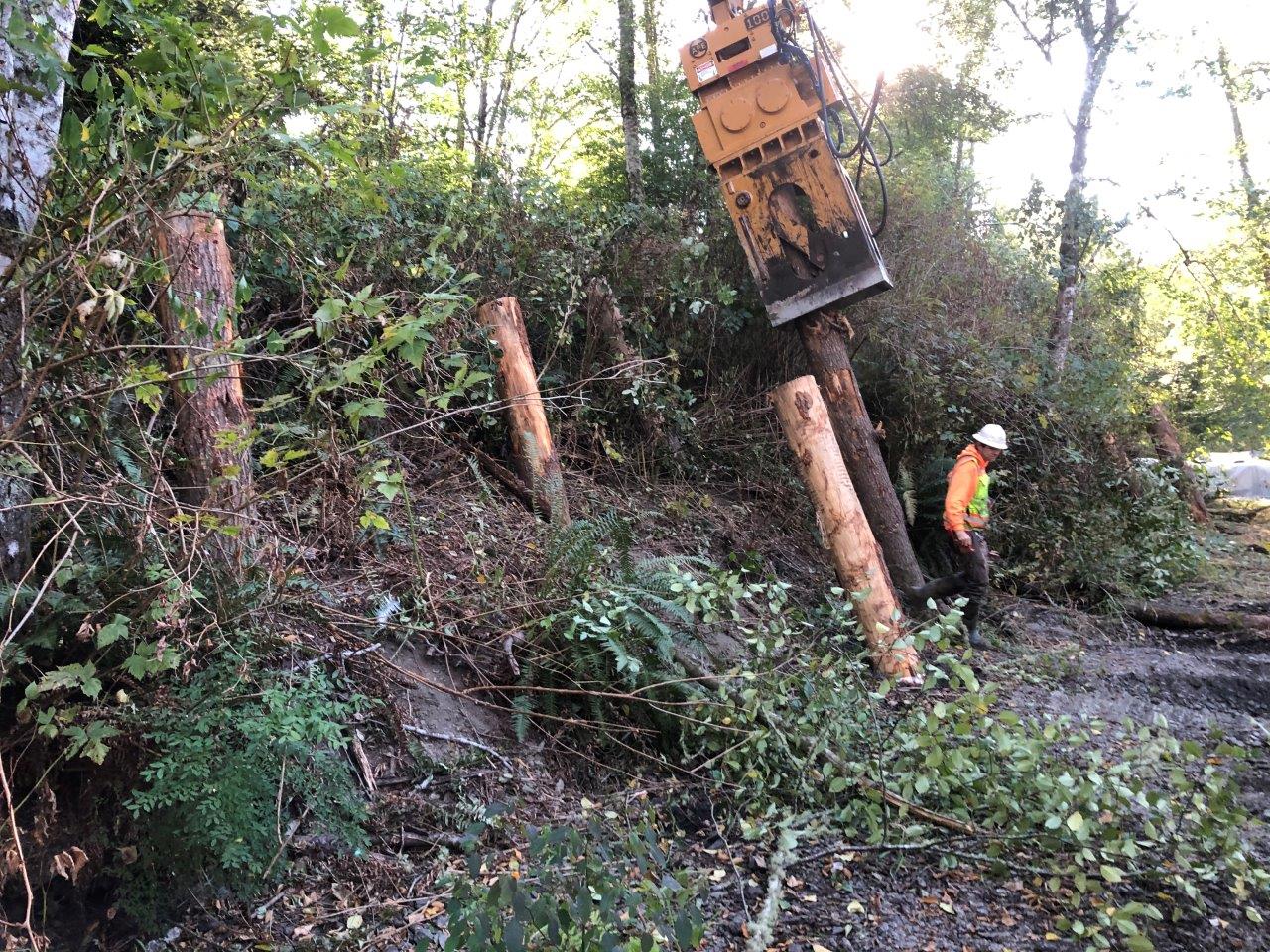 Machinery installing tree trunk pieces along the stream bank.