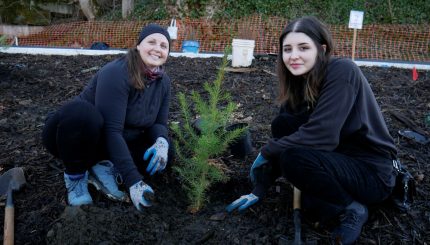 Two people smiling next to a tree they just planted