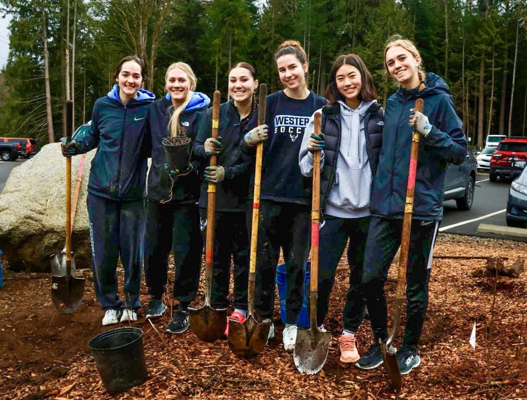 Six young adults stand shoulder to shoulder holding shovels and smiling