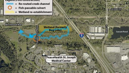 Aerial image showing the re-routed creek channel and fish-passable culvert location on Squalicum Creek