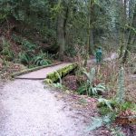 Arroyo Trail