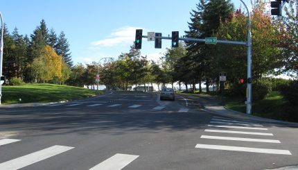 Traffic signal at intersection with trees lining the road