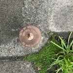 Metallic circle on concrete that says City of Bellingham control point, do not disturb.
