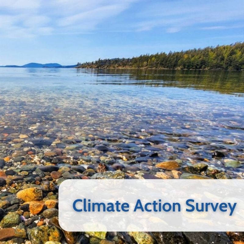 Bay on a sunny day with river rocks in the foreground and text that says "Climate Action Survey".