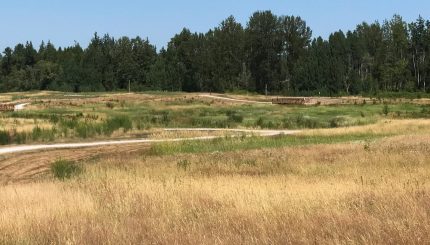 Cordata Community Park field