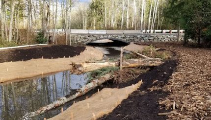 Elevated road with creek flowing under large arched culvert