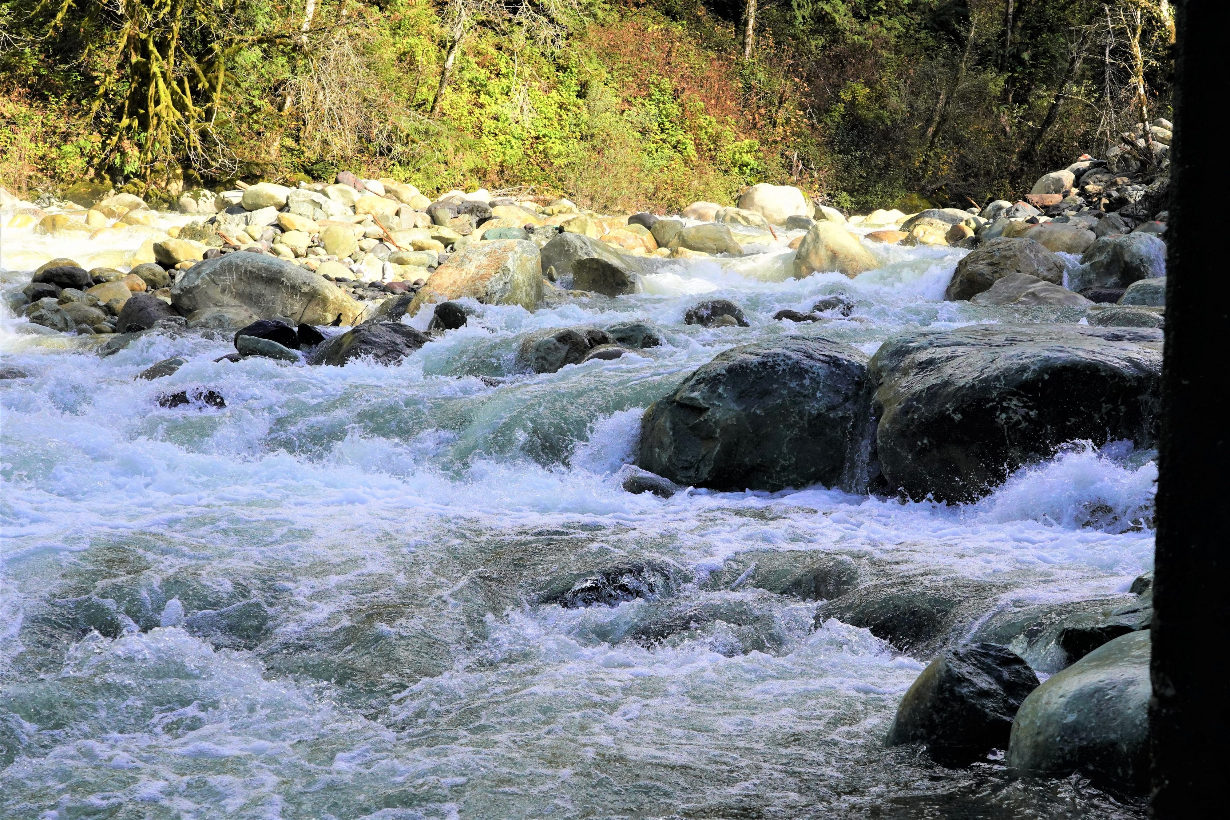 Free-flowing river with boulders