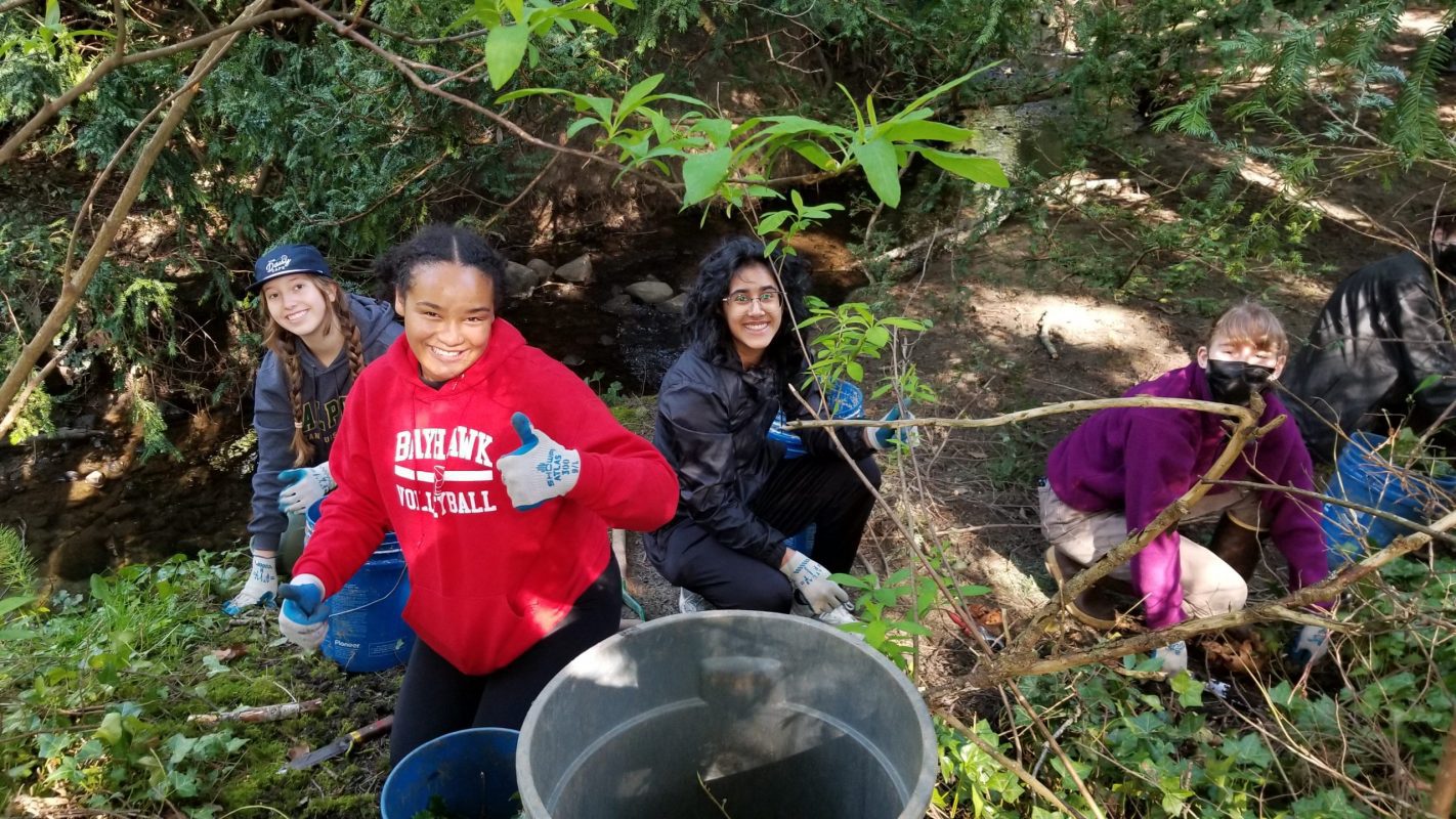 Four volunteers removing invasive plants next to stream.