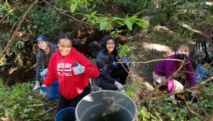 Four volunteers removing invasive plants next to stream.