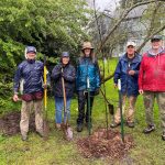 Five people pose with shovels behind a small tree