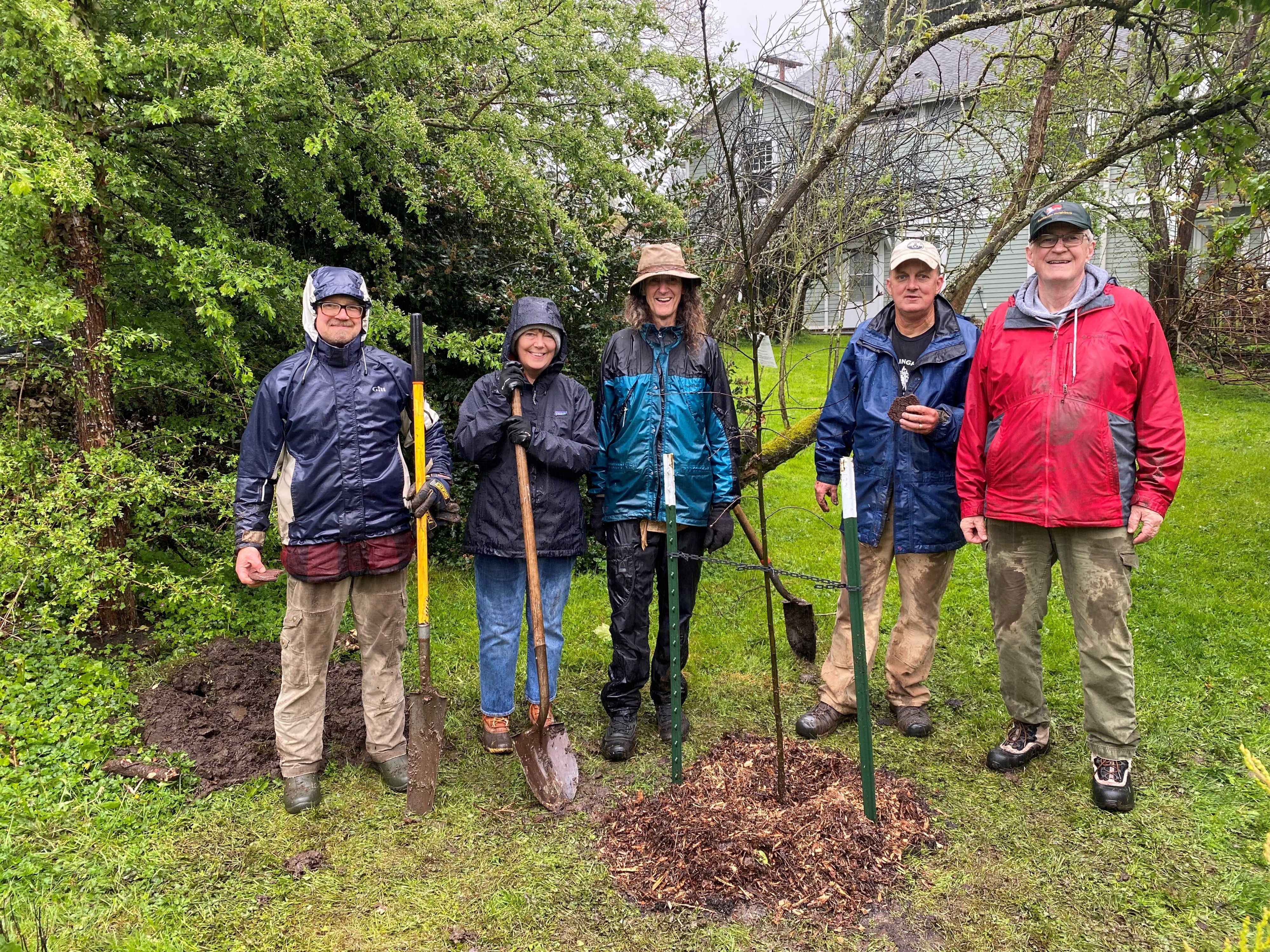 Five people pose with shovels behind a small tree