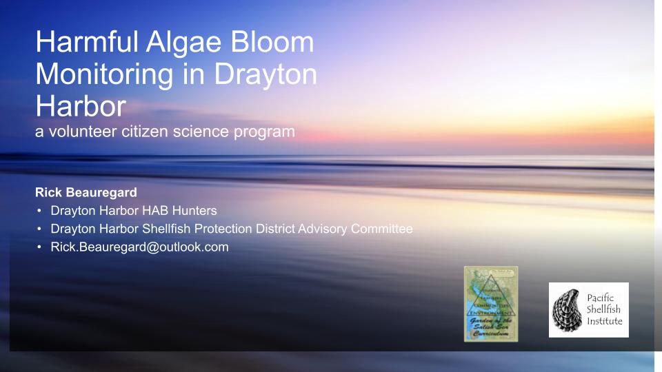 Sunset beach photo in background. Foreground text says Harmful Algae Bloom Monitoring in Drayton Harbor.
