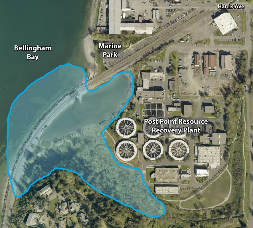 Aerial image of the Post Point Resource Recovery Plant, Marine Park, and Bellingham Bay. A blue highlighted area that extends through Post Point Lagoon and the nearby shoreline and trees indicates where herons nest and feed.