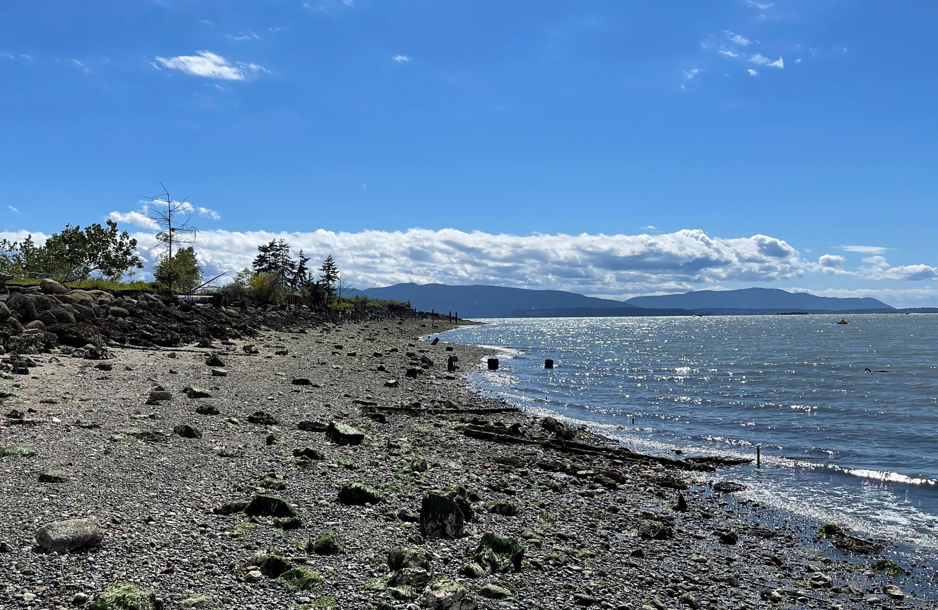 Rocky beach with forested islands in distance