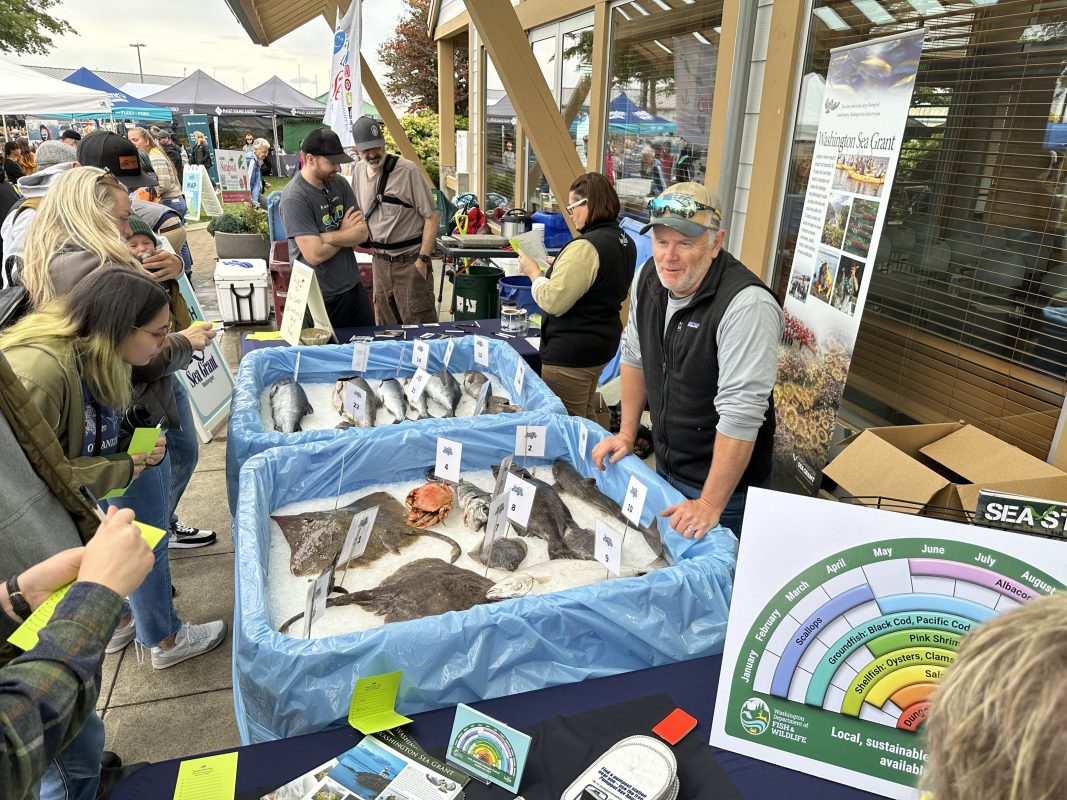 People gathered around a table outside looking at fish at SeaFeast.