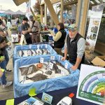 People gathered around a table outside looking at fish at SeaFeast.