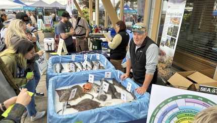 People gathered around a table outside looking at fish at SeaFeast.