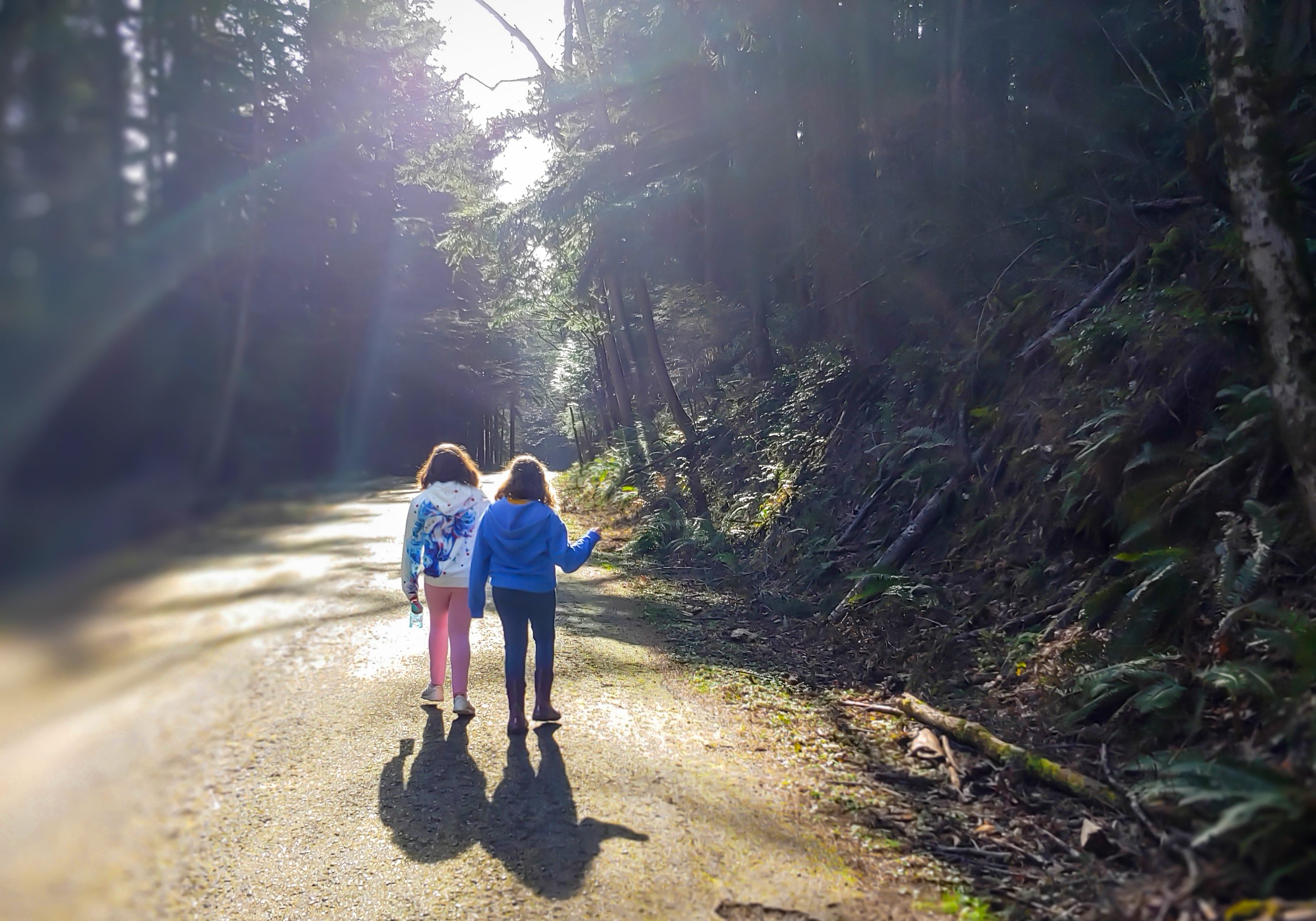 Two kids walking on a forested road.