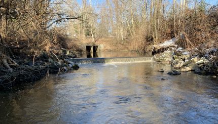 A small dam on a creek with a concrete culvert in the background where the creek goes under a road.