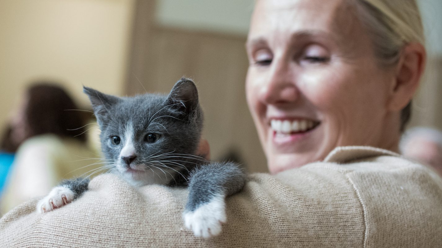 Mayor Kim Lund holds a kitten