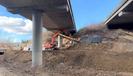 Orchard under I-5 overpass