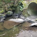Two concrete pipes in a stream. Water levels are low and one of the pipes is dry.