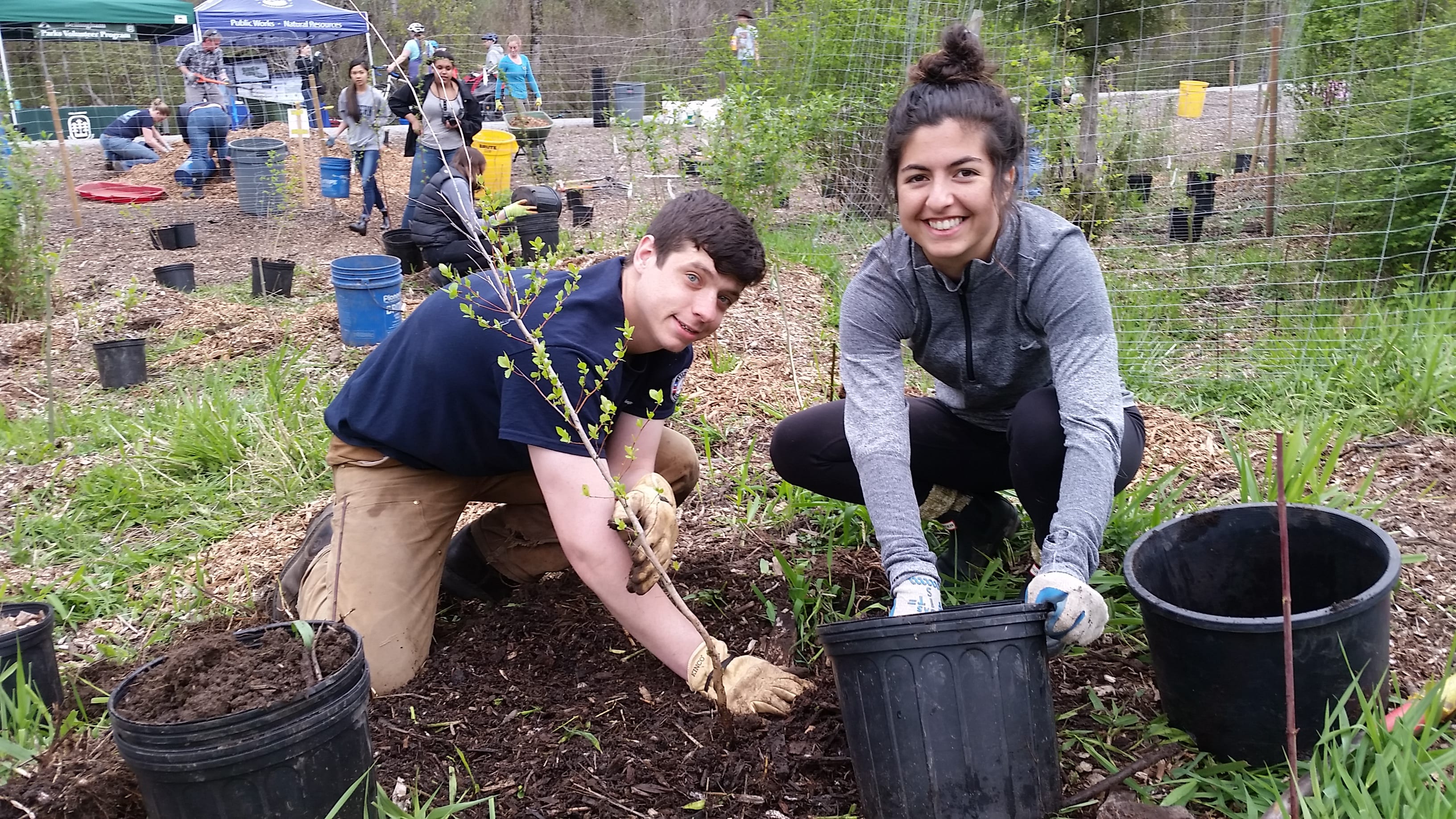 Two volunteers planting a tree together