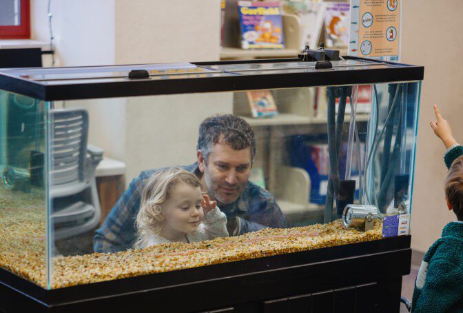 adult and young child look into fish tank with gravel on the bottom