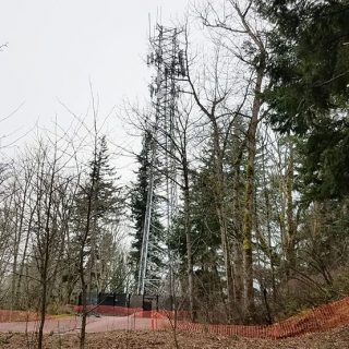 Tower on top of hill with tress surrounding