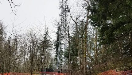 Tower on top of hill with tress surrounding