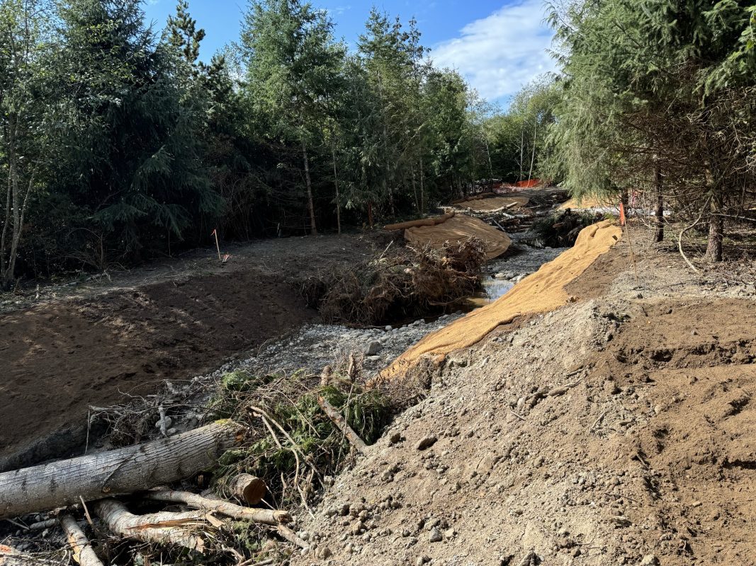 Dry stream channel under construction with large woody debris in it