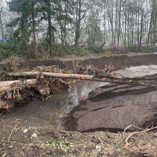 Logs and woody debris in stream channel, under construction