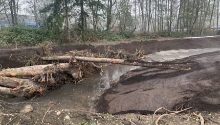 Logs and woody debris in stream channel, under construction